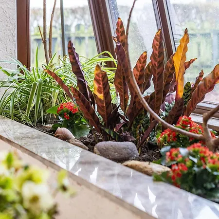 Hebborn Semesterbostad Bergisch Gladbach