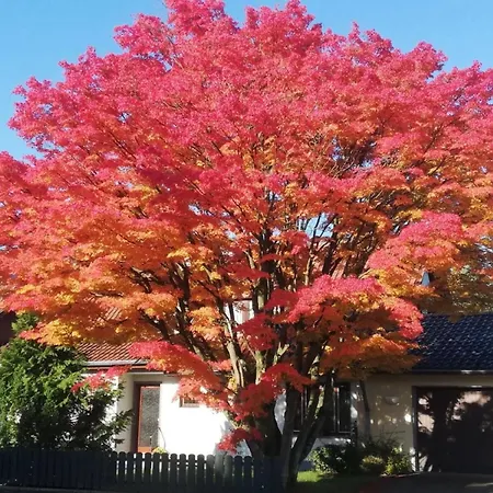 Hebborn * Bergisch Gladbach