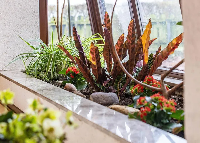 Hebborn Holiday home Bergisch Gladbach