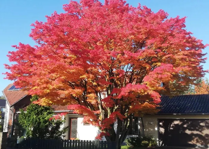 Hebborn * Bergisch Gladbach